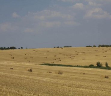 NAŠE OBEC